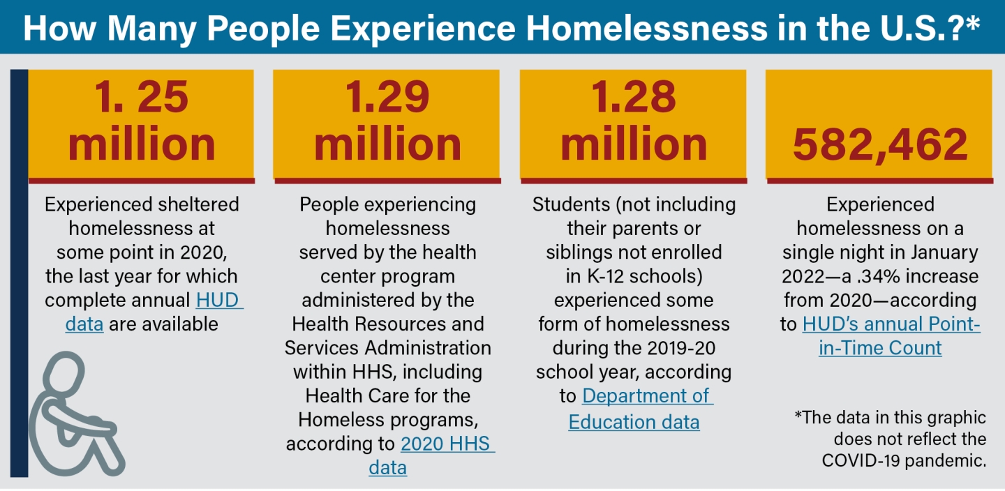 How many experience homelessness graphic